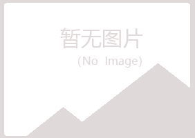 金山区夏槐金属有限公司